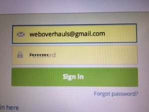 Hootsuite sign-in form; the password input contains both the floated label and the masked password, making it unreadable.
